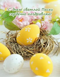 Жёлтые крашенные куриные яйца, нежные цветы на фоне
