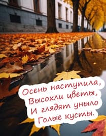 Открытка на тему осени где изображена улица города с листьями и большой лужей вдоль дома