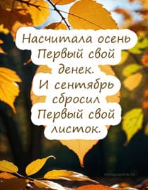 Скачать картинку, открытку для поздравления с осенью, на фоне жёлтые листья и деревья с текстом поздравления