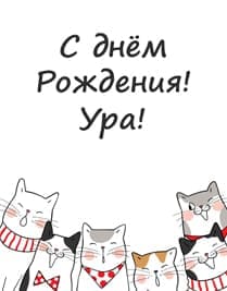 Картинка открытка с нарисованными котами в шарфах и бабочках,  которые орут на день рождения