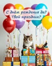 кот на подарках и воздушные шары