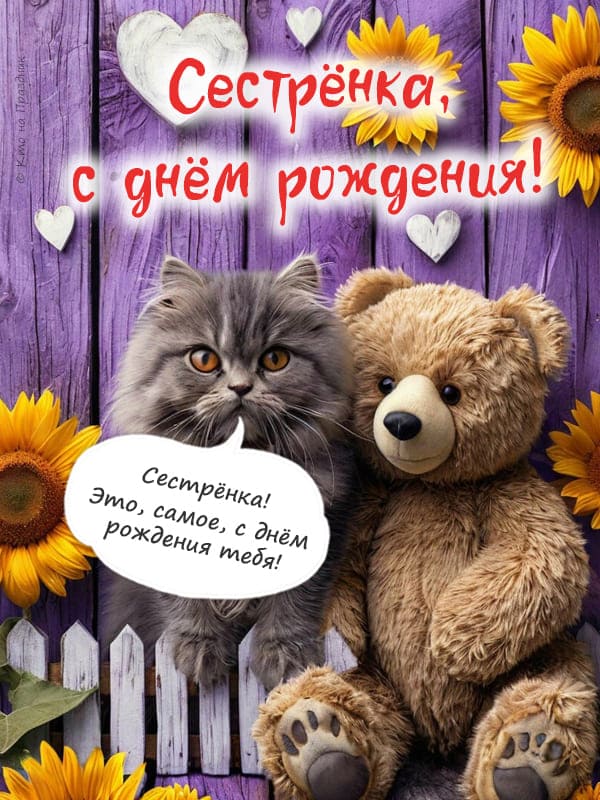 Кот и плюшевый медведь поздравление сестры с днём рождения