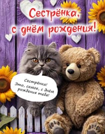 кот и плюшевый медведь текст поздравления