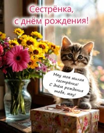 котёнок возле окна букет цветов и подарочная коробка