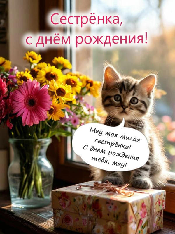 Котёнок на подоконнике с цветами и подарочной коробкой