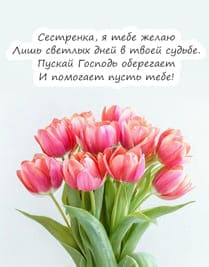 на сером фоне красные цветы тюльпаны и текст стихотворения