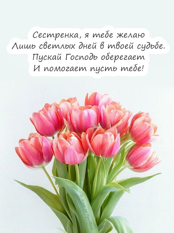 Красные нарисованные тюльпаны на сером фоне и стихотворением