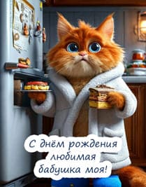 кот в халате