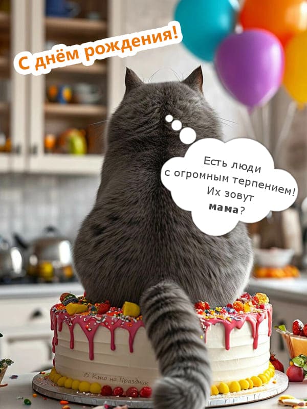 Кот сидит на торте юмор маме открытка