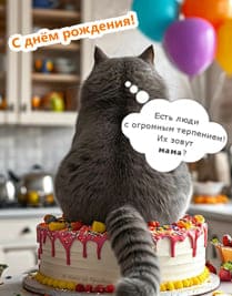 кот и торт