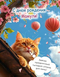кот на крыше