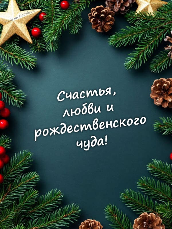 Веточки ёлки звезда и шишки открытка с рождеством