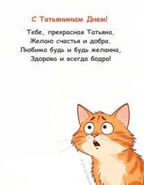 удивлённый кот