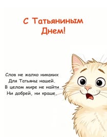 кот и белый фон