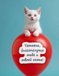 кот на шаре