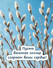 На синем небе веточки вербы весной