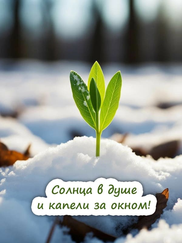 Росток зелёного цвета растёт из под снега весной