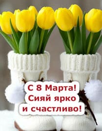 Сапоги и тюльпаны