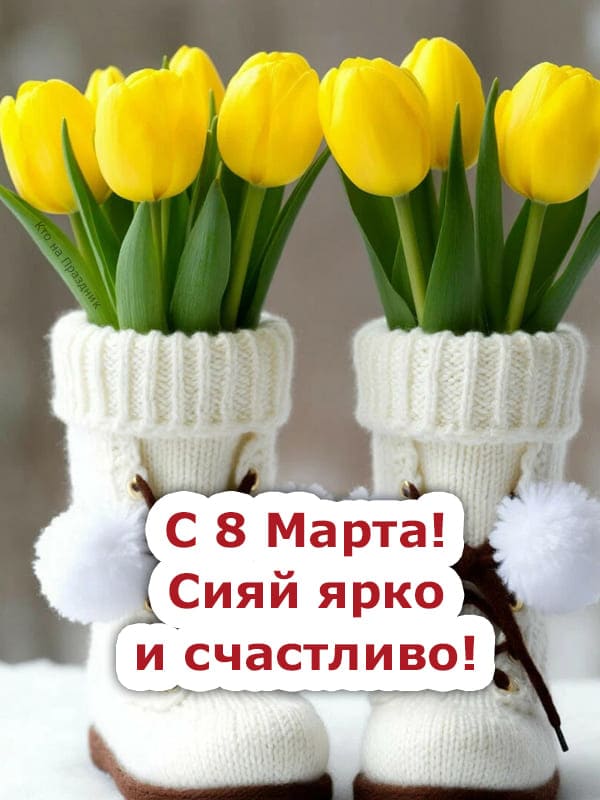 Жёлтые тюльпаны в белых сапожках по весне на 8 марта