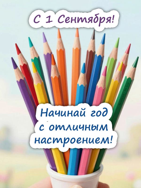 Разноцветные карандаши на праздник 1 сентября