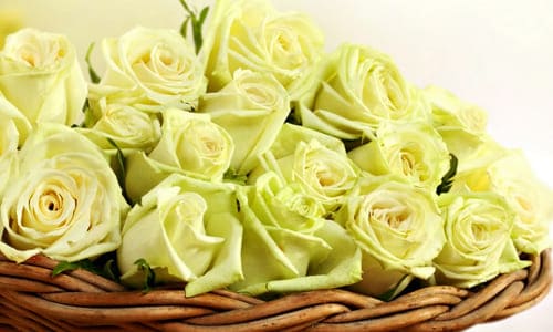 Корзина с цветами розами на поздравление тёти с днём рождения стихи
