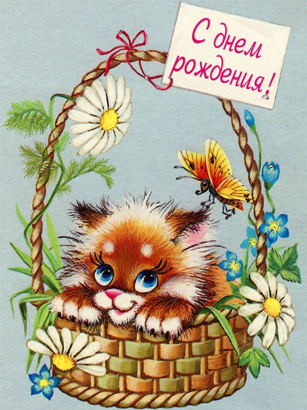  Котик в корзине открытка СССР