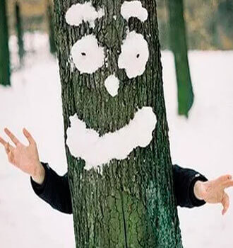 лицо из снега на дереве фото  