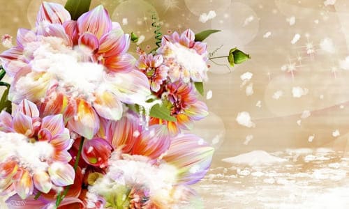 Обложка цветы для стихотворения поздравления 25 января Татьянин день
